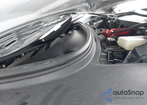 2023 Tesla Model 3 Rear-Wheel Drive из США, поврежденный, VIN 5YJ3E1EA5PF383595